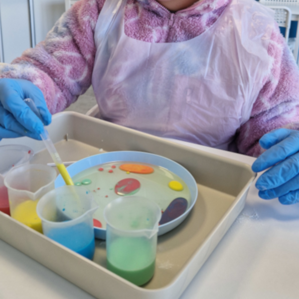 Warsztaty dla przedszkoli Wrocław